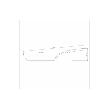 Professional IRON frying pan